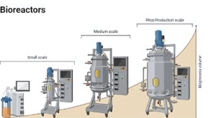 Read more about the article What Are The Types Of Bioreactors