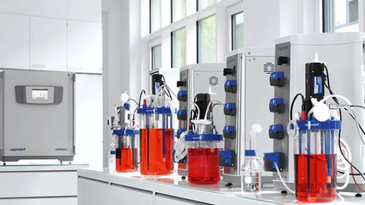 You are currently viewing Types of Bioreactor Laboratory