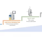 Scale Up of Fermentation Process