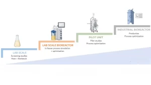 Read more about the article Scale Up of Fermentation Process
