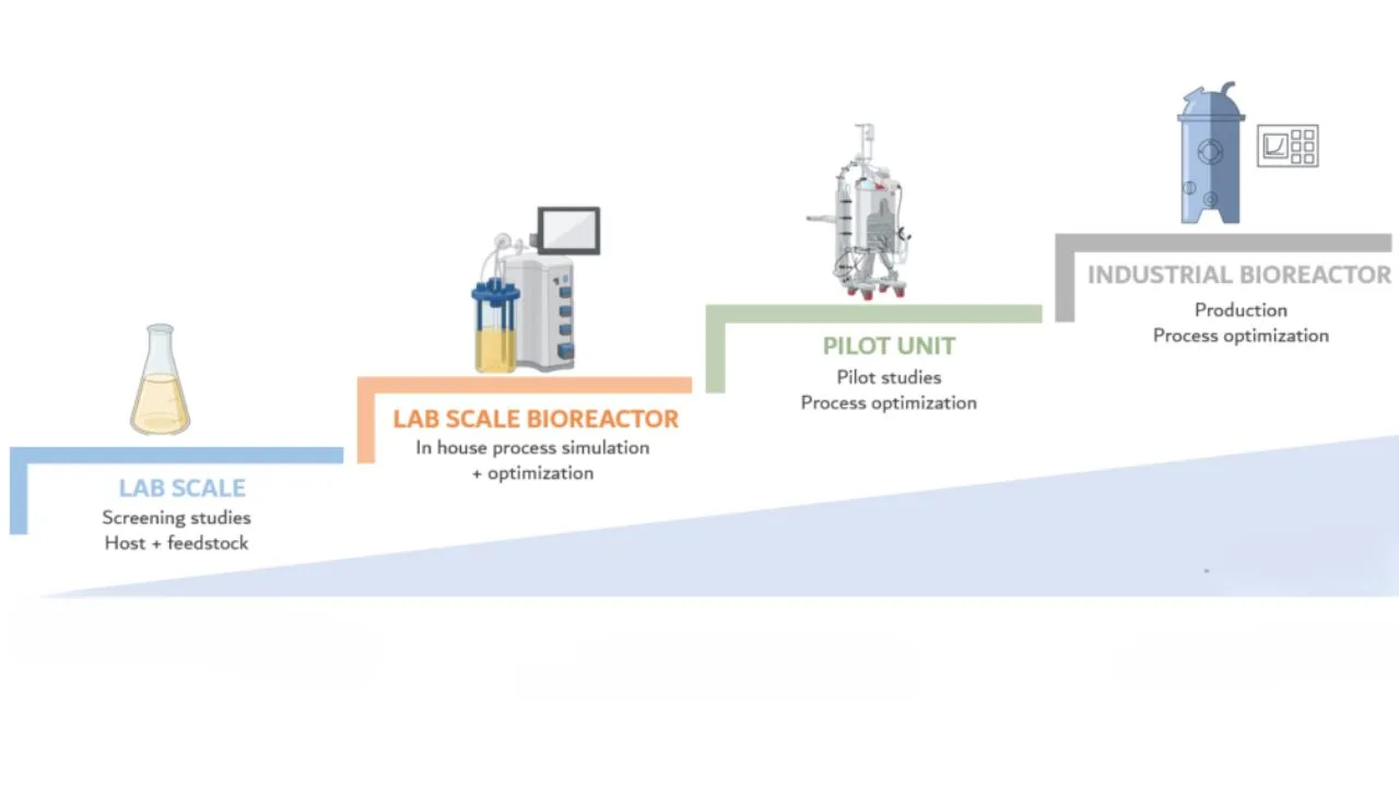 You are currently viewing Scale Up of Fermentation Process