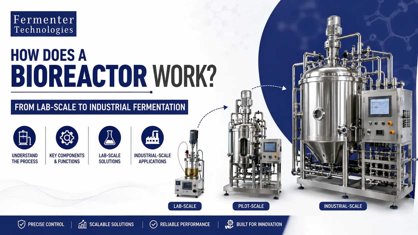Read more about the article How Does a Bioreactor Work? From Lab-Scale to Industrial Fermentation