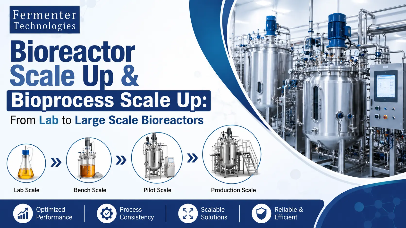 Read more about the article Bioreactor Scale Up & Bioprocess Scale Up: From Lab to Large Scale Bioreactors