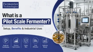 Read more about the article What is a Pilot Scale Fermenter? Setup, Benefits & Industrial Uses