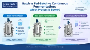 Read more about the article Batch vs Fed-Batch vs Continuous Fermentation: Which Process Is Better?